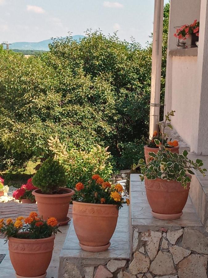 Tokaj Hill Panorama Guesthouse Szerencs Eksteriør billede