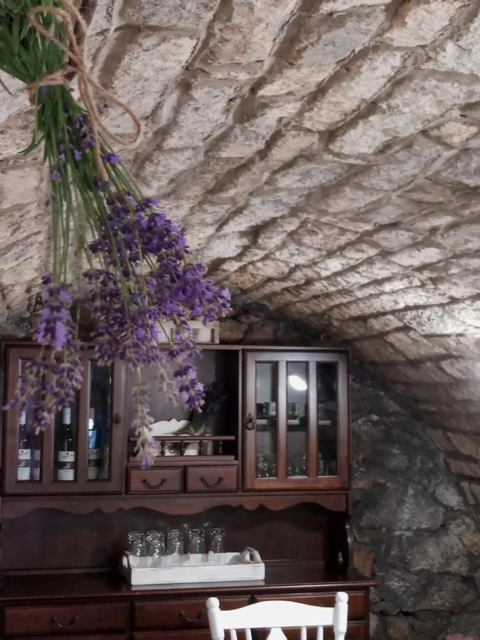 Tokaj Hill Panorama Guesthouse Szerencs Eksteriør billede