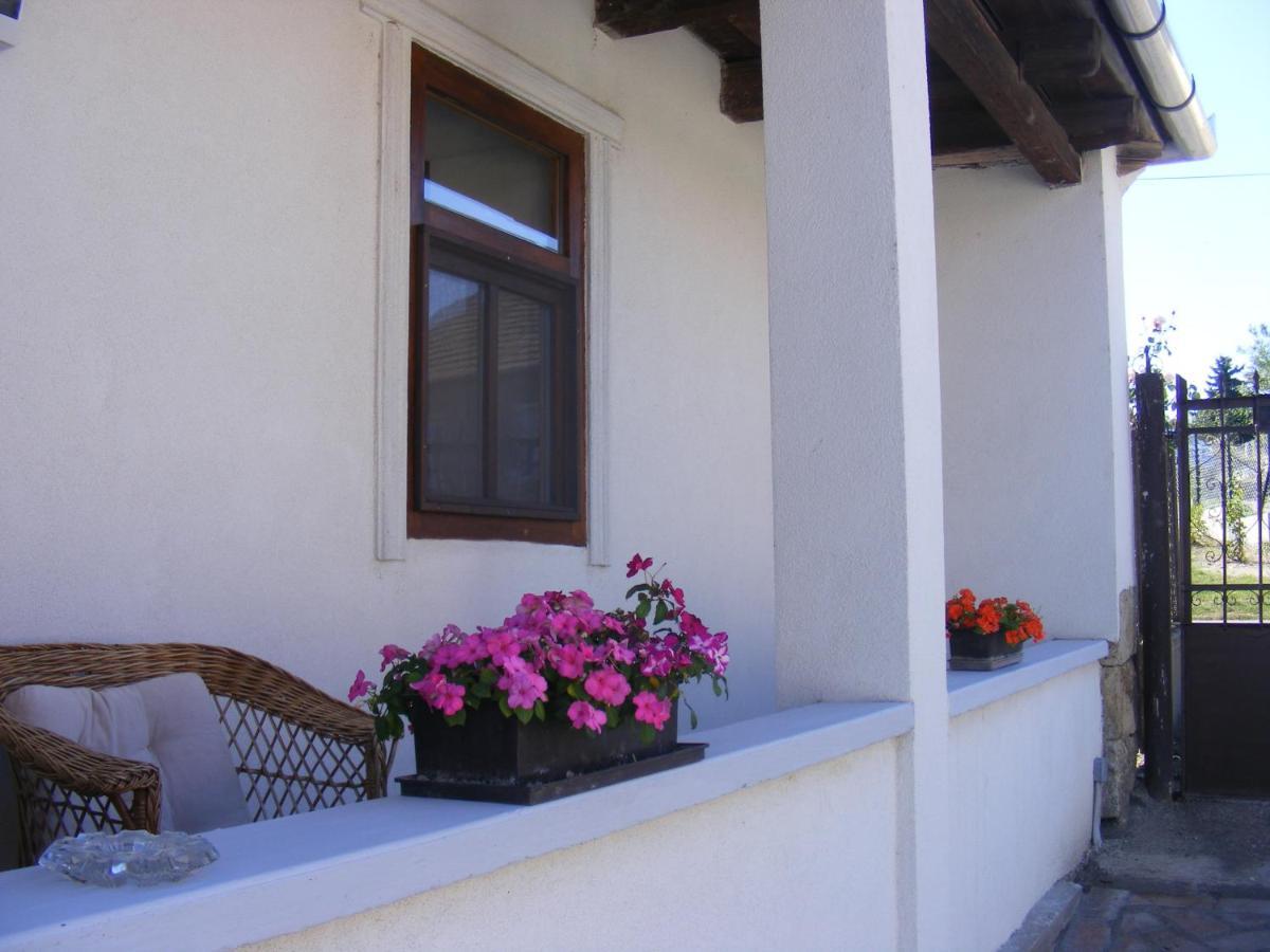 Tokaj Hill Panorama Guesthouse Szerencs Eksteriør billede