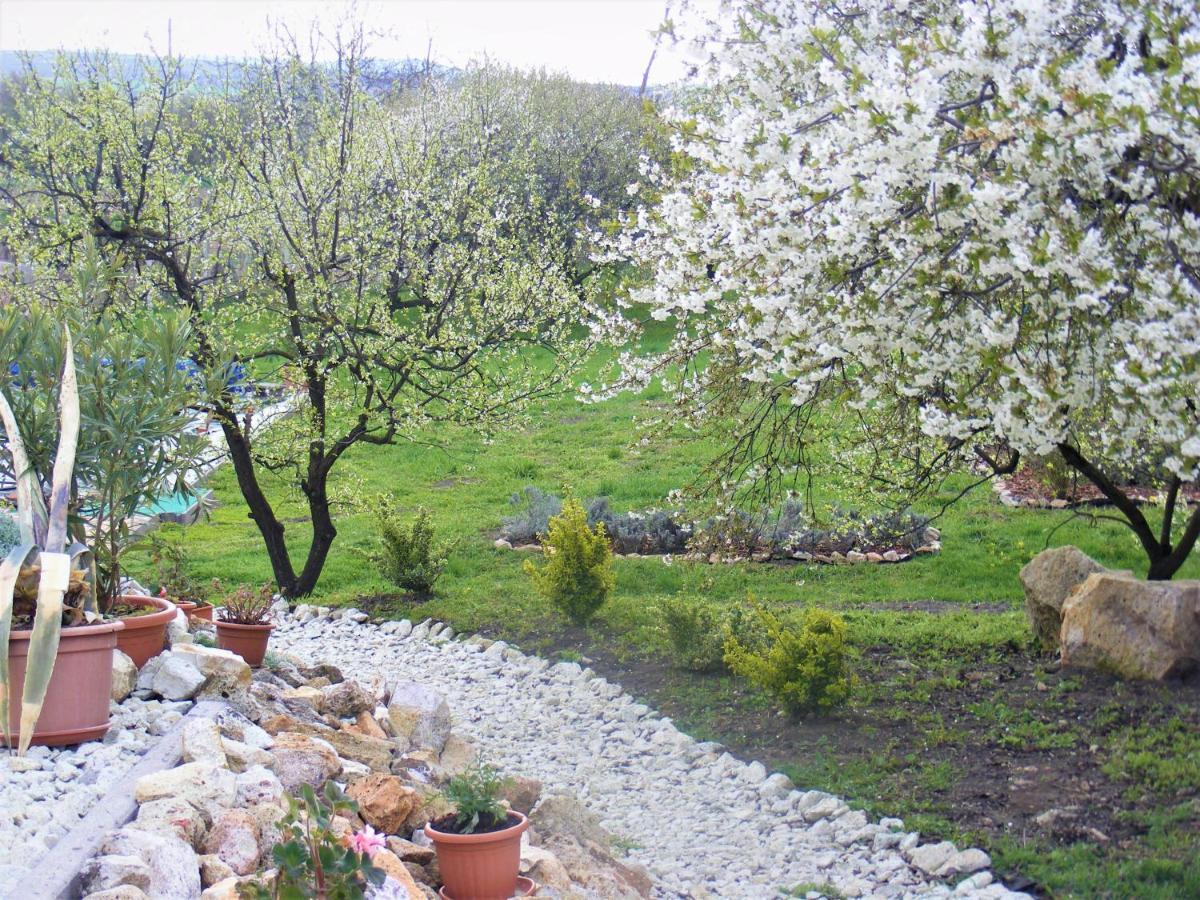 Tokaj Hill Panorama Guesthouse Szerencs Eksteriør billede