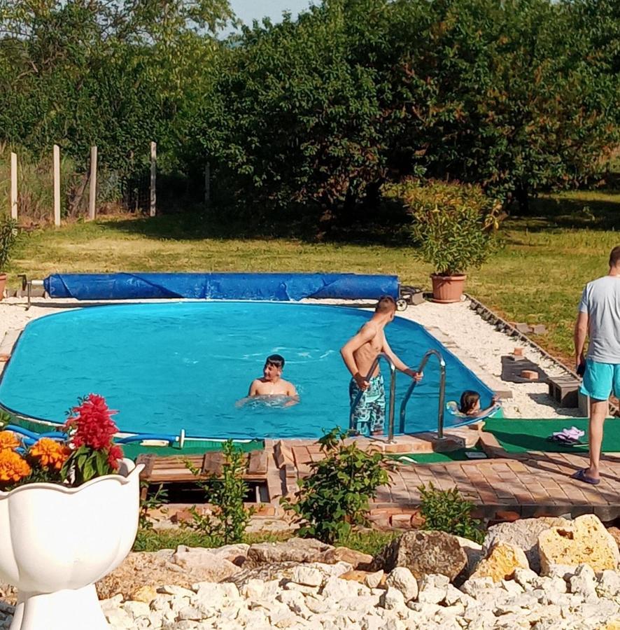 Tokaj Hill Panorama Guesthouse Szerencs Eksteriør billede