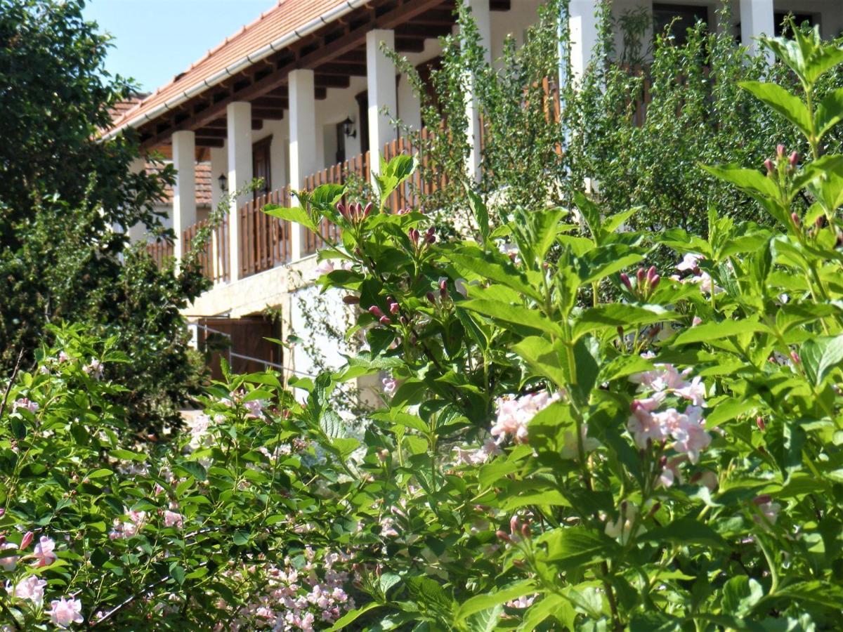 Tokaj Hill Panorama Guesthouse Szerencs Eksteriør billede