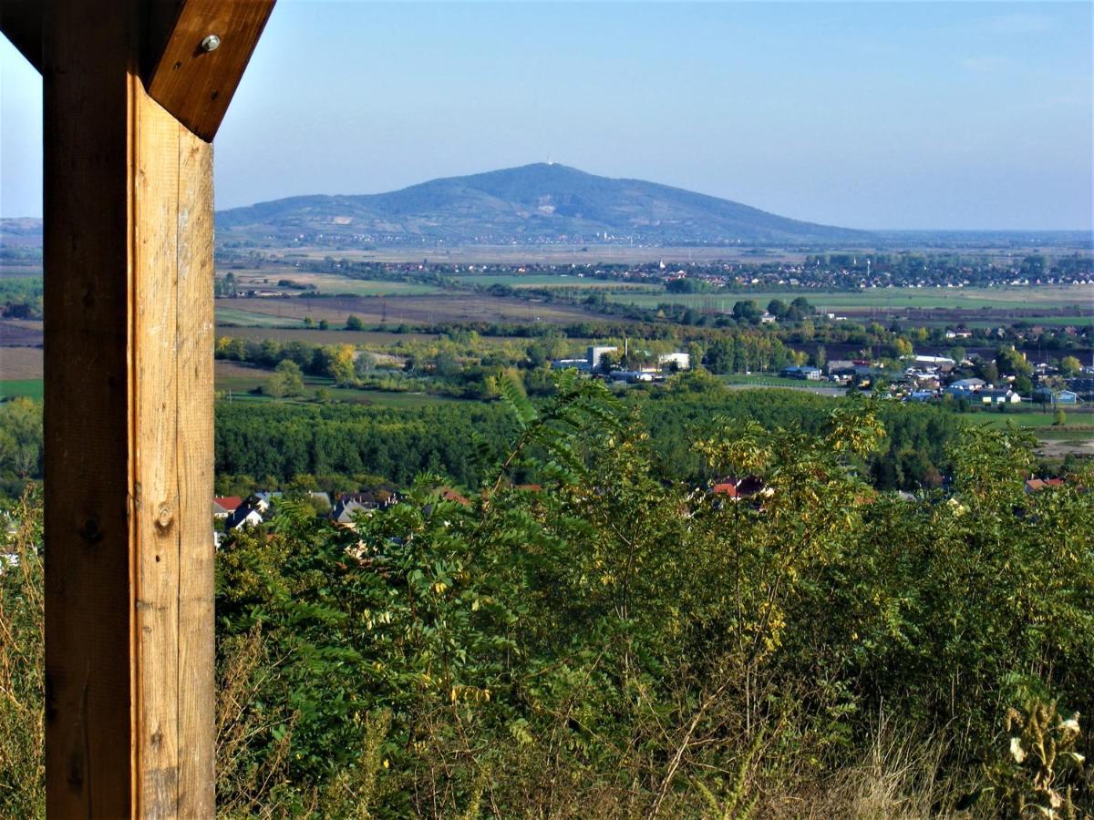 Tokaj Hill Panorama Guesthouse Szerencs Eksteriør billede