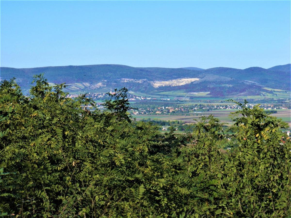 Tokaj Hill Panorama Guesthouse Szerencs Eksteriør billede