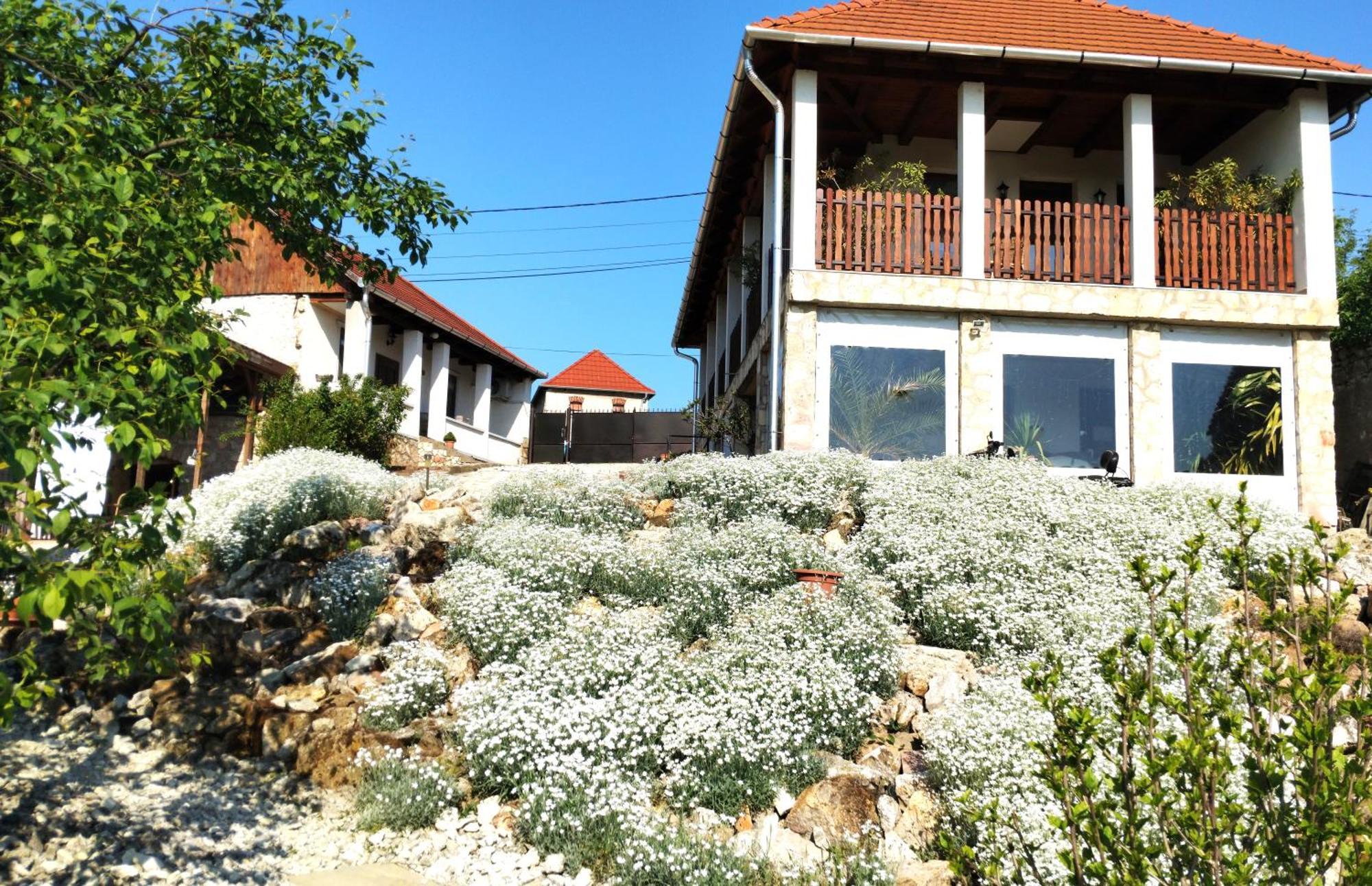 Tokaj Hill Panorama Guesthouse Szerencs Eksteriør billede